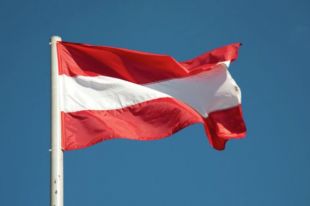 Президент Австрии принял отставку правительства после парламентских выборов