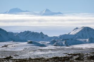 Сколько стоила Аляска в переводе на современные деньги?
